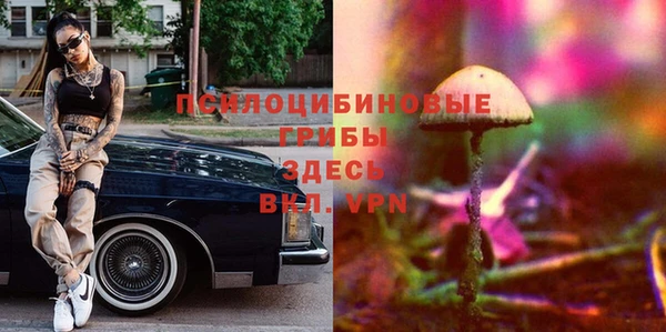 прущие грибы Алексеевка
