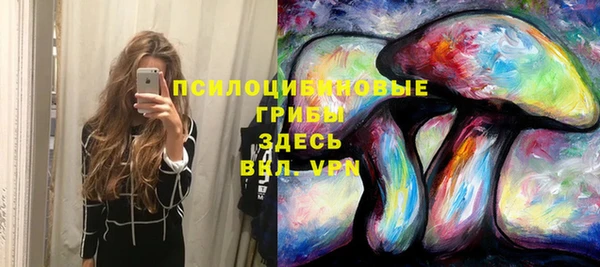 крисы Армянск