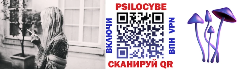 Галлюциногенные грибы Psilocybine cubensis Лысьва